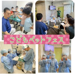 こども獣医師職業体験